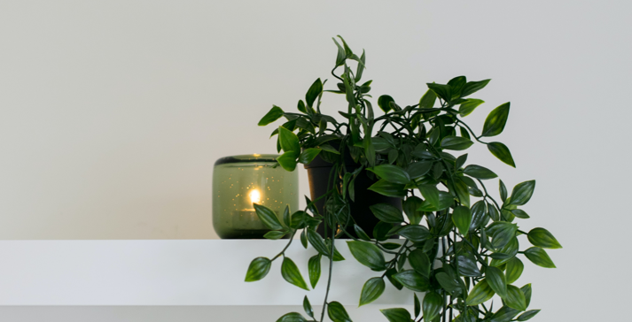 プロフィール背景画像