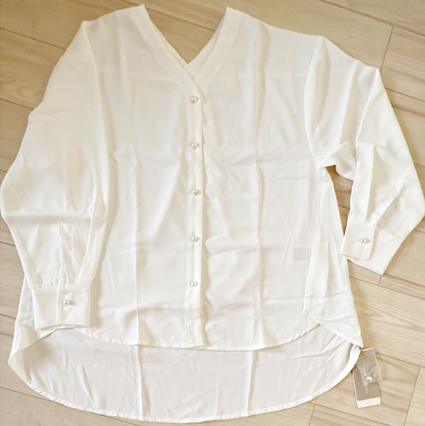 Vネックパールブラウス
